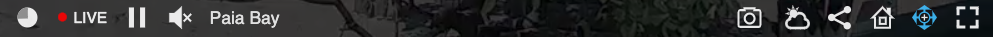 Screen_Shot_2021-03-02_at_3.49.23_PM.png